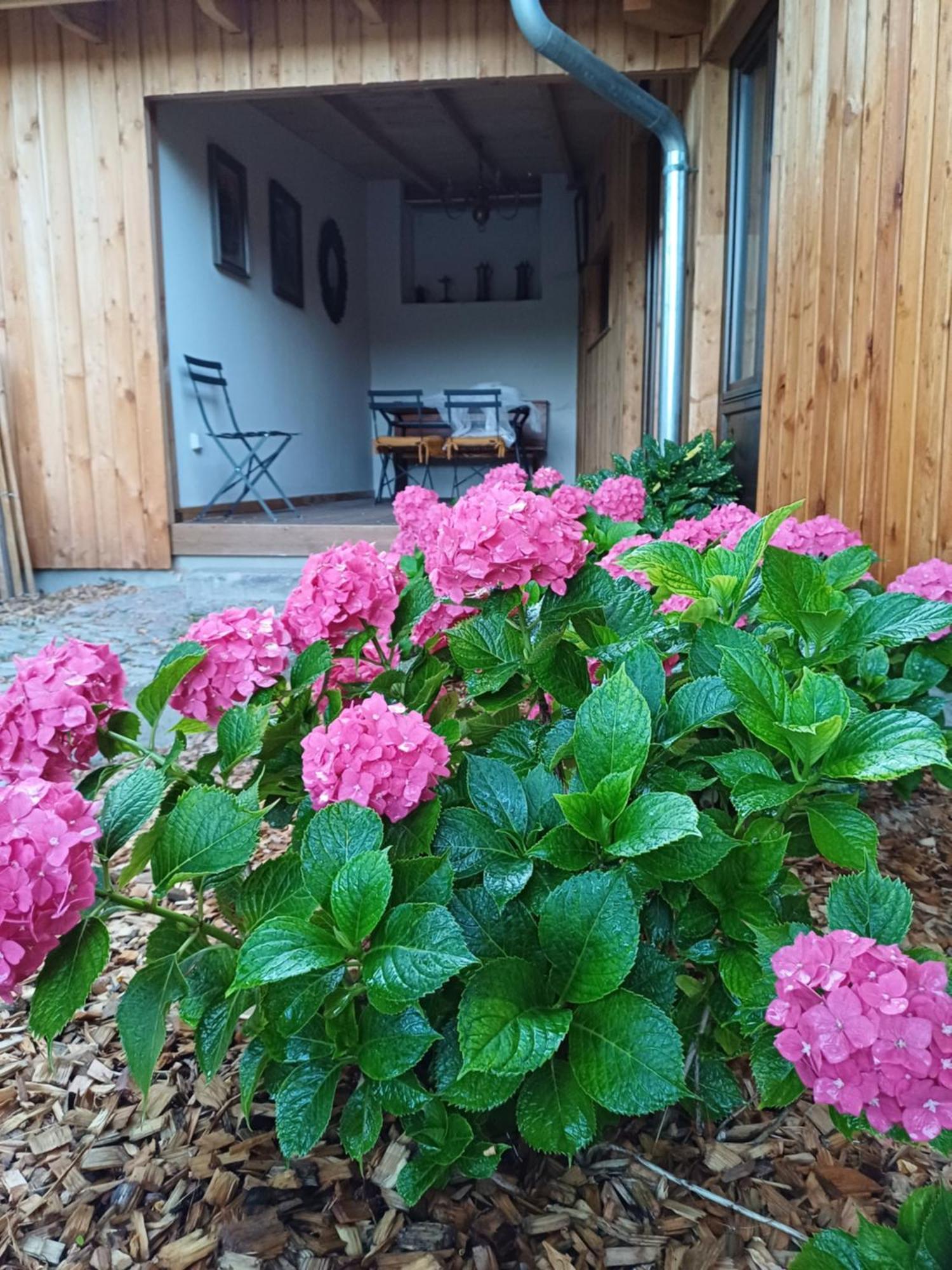 Les Cottages Du Chateau De Werde Matzenheim Экстерьер фото
