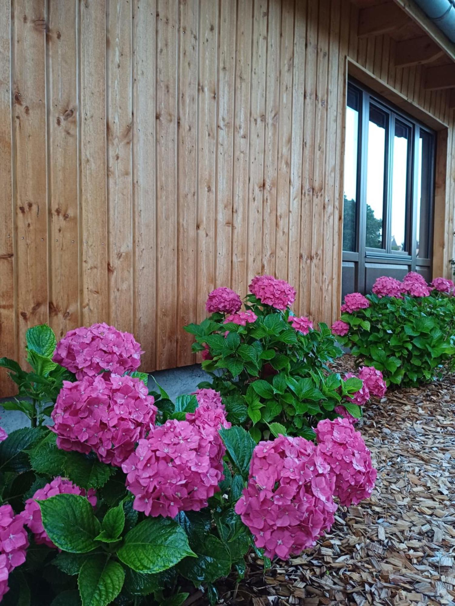 Les Cottages Du Chateau De Werde Matzenheim Экстерьер фото